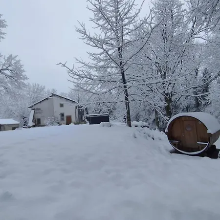 Le Tilleul De Bressolles Brassac (Tarn)